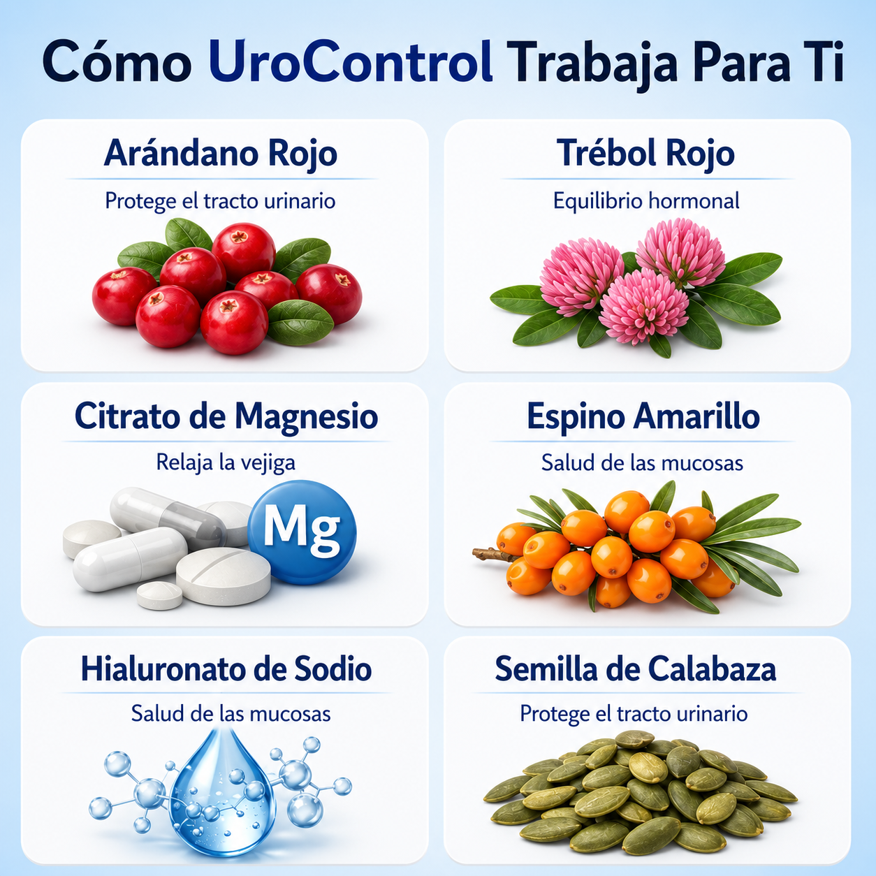 CALMA® - Bienestar Natural para tu Vejiga y Tracto Urinario